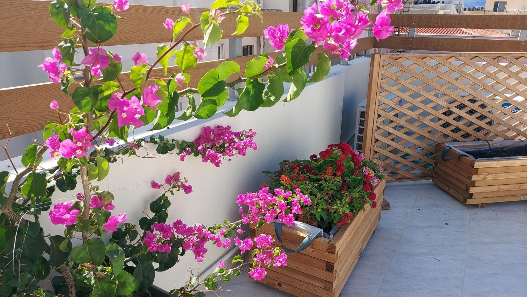 The Blue Apartment In The Heart Of Heraklion 外观 照片